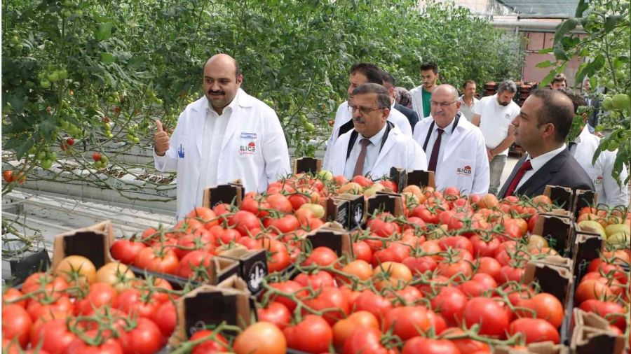 Tarm Kredi kurmaylar termal seralara hayran kald