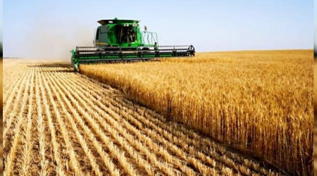 Tarımda enflasyon gaza bastı