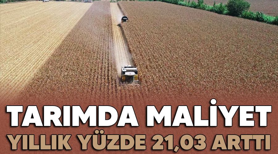 Tarımda maliyet yıllık yüzde 21,03 arttı