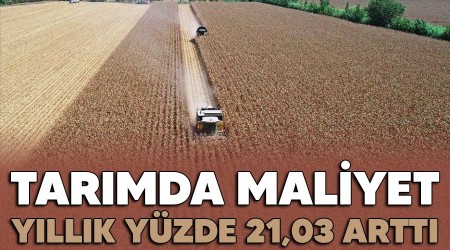 Tarımda maliyet yıllık yüzde 21,03 arttı