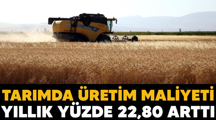 Tarımda üretim maliyeti yıllık yüzde 22,80 arttı