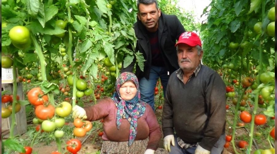 Tarladan markete fiyat fark� �reticiyi �ileden ��kard�