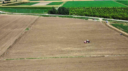 Tarsus'ta soya fasulyesi ekimi yapıldı