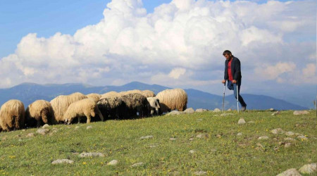 Tek bacaklı çobanın emeklilik hakkı var mı?