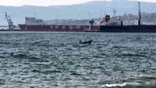 Tekirdağ'da lodos fırtınası balıkçıları limana döndürdü