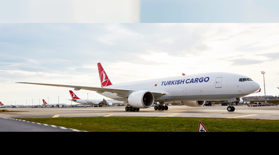 THY, 169 lüks araç taşıdı