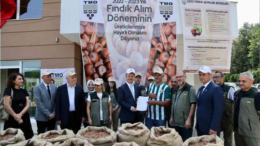 TMO Giresun'da fındık alımına başladı