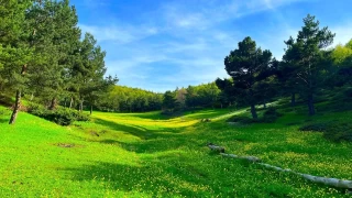 Topam Yaylas: am kokulu zirvede bir doa masal