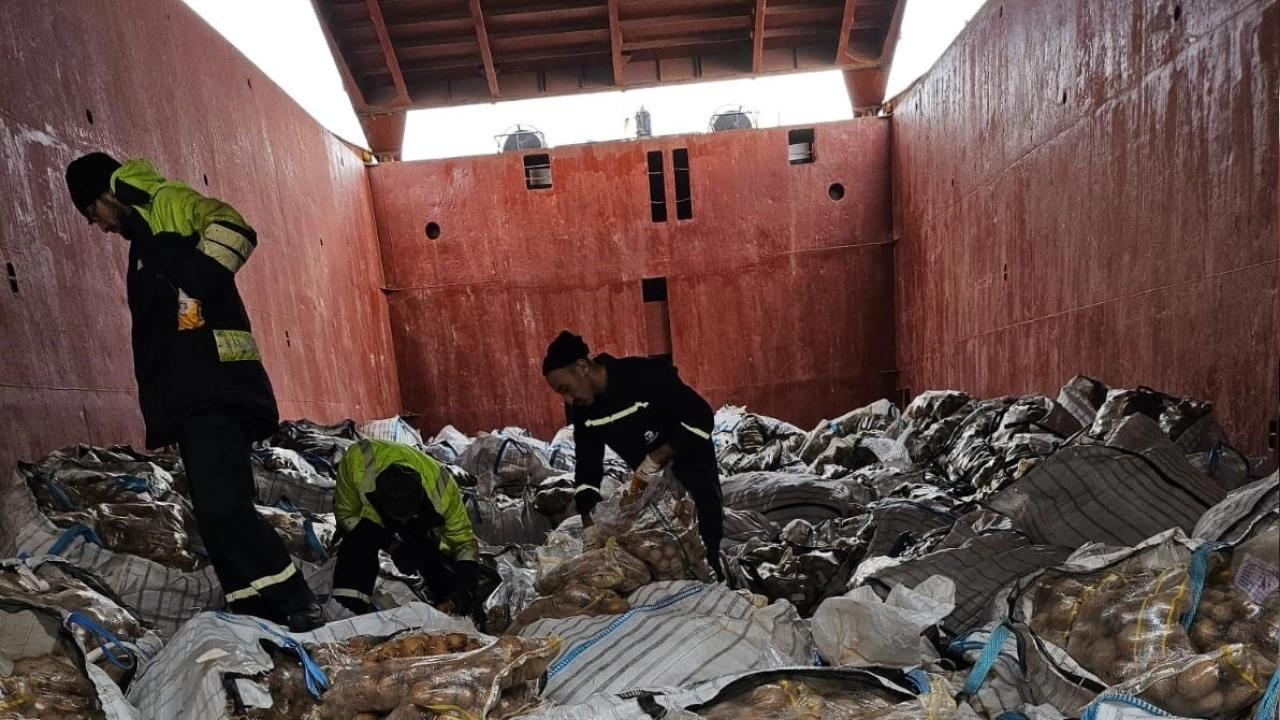 Tunus 2 bin 780 ton patatesi geri gönderdi