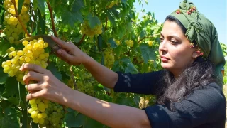 Turgutlunun tarm kalbi atyor