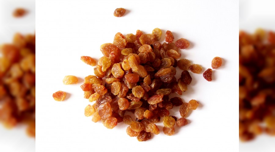 T�rk �z�m� �in�i fethe ��kt�