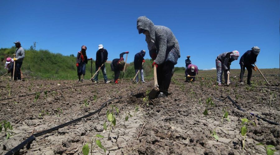 Türkiye'de tarım tükenişe doğru gidiyor
