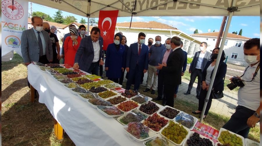 T�rkiye'nin ba�c�l�k merkezinde ba�bozumu etkinli�i