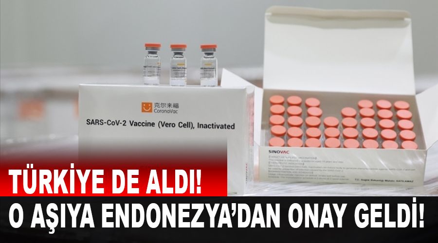 Trkiye'nin de ald in asna Endonezya'dan onay