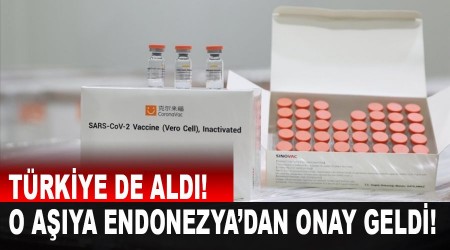 Türkiye'nin de aldığı Çin aşısına Endonezya'dan onay