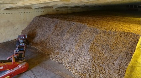 Türkiye'nin tek nişasta tesisi üretimini sürdürüyor