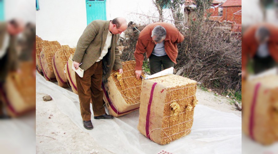 T�t�n sekt�r�nde y�zler g�l�yor