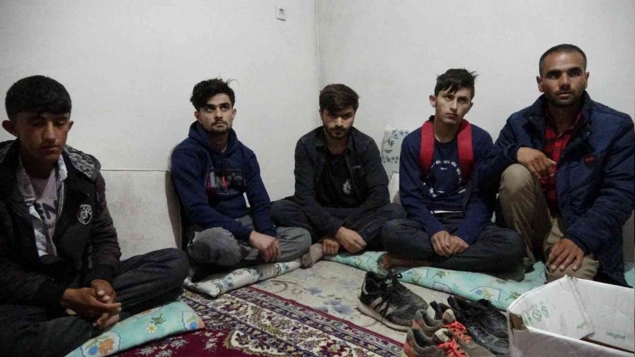 Van'da 9 düzensiz göçmen yakalandı