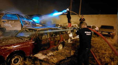 Van'da yangn, 11 ara hasar grd