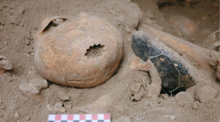 Van'da yeni keif: 11 delgili bir trepanasyon rnei bulundu