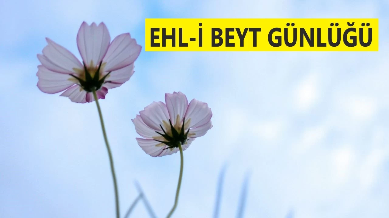 ‘Vasilerime bir şey öğretmeye kalkışmayın'