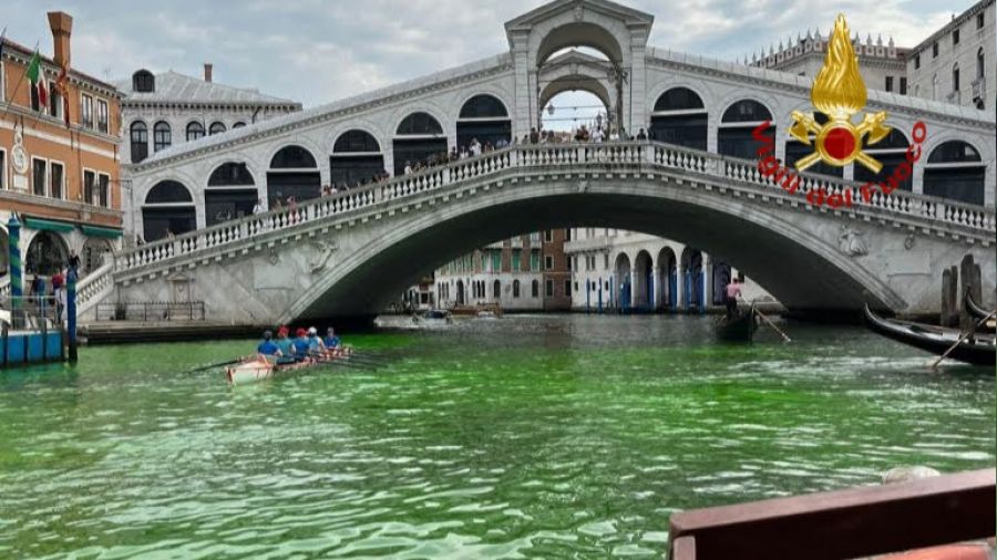 Venedik'te Büyük Kanal yeşile büründü