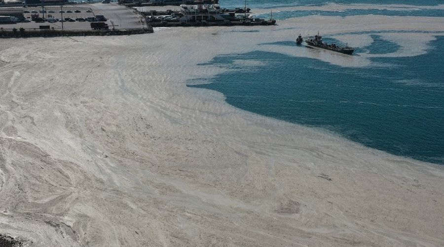 Yalova'da m�silaj temizli�i 353 metrek�pe ula�t�