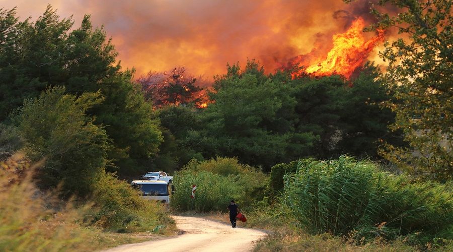 Yanan alanlara nas�l a�a� dikilmeli sorusunun cevab�