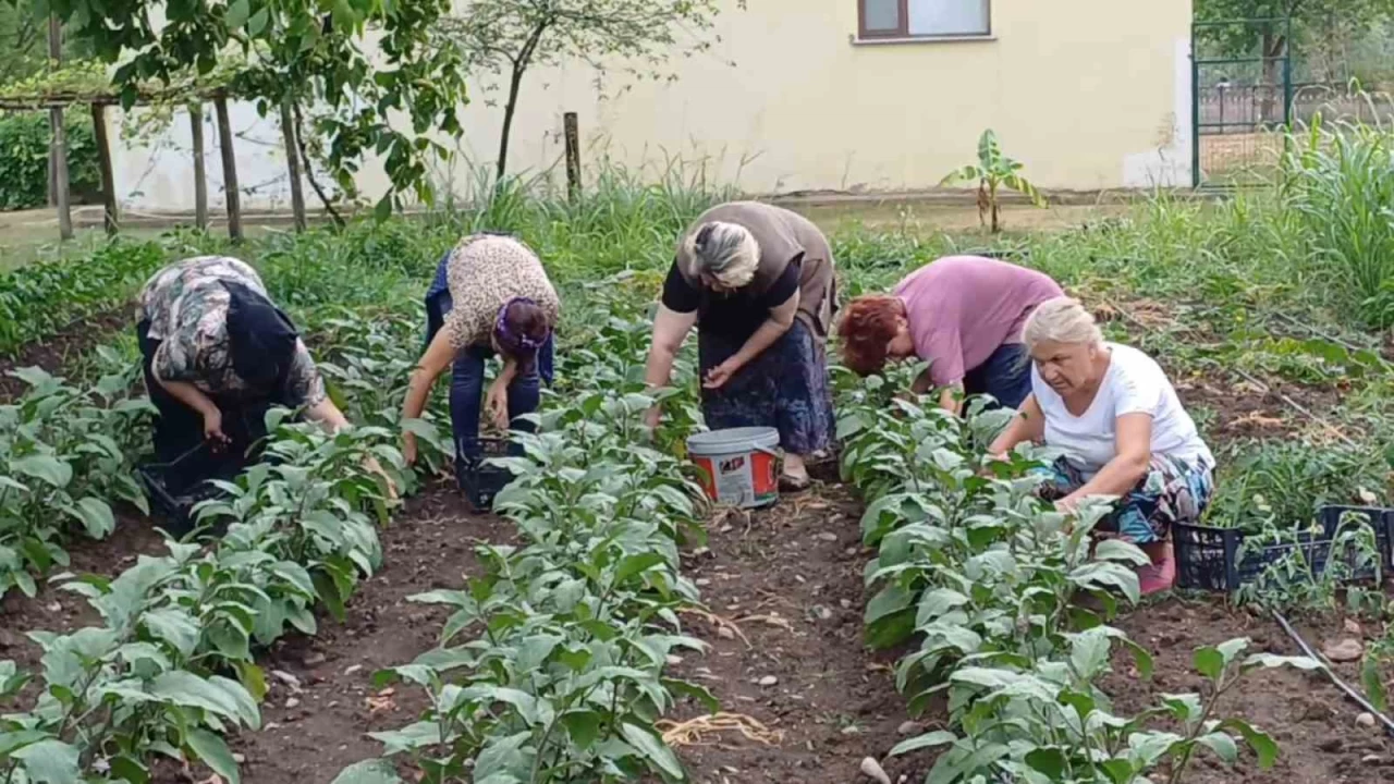 Yanl�� �al��ma hastanelik ediyor