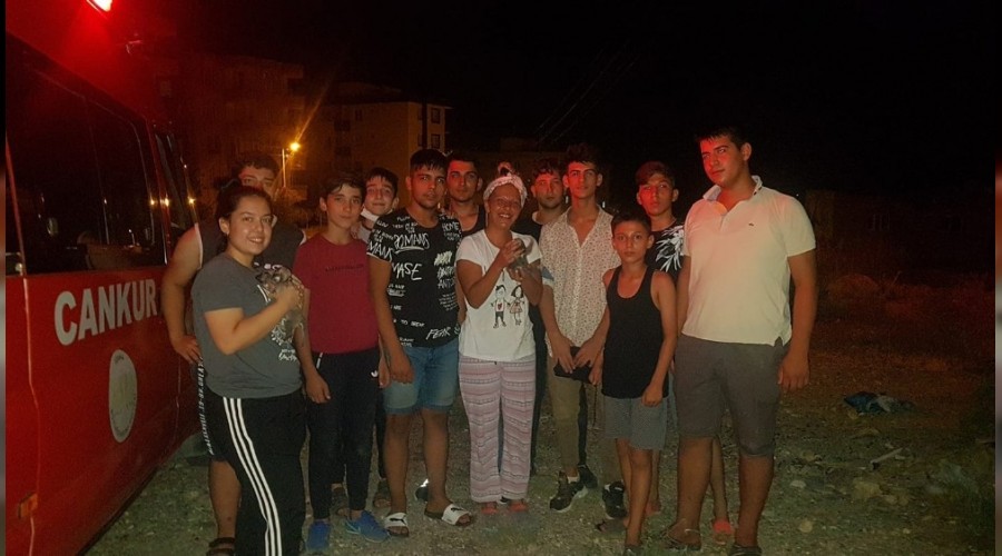 Yavru kpekleri ocuklar fark etti