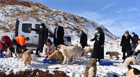 Yemek artklar ziyan olmuyor