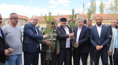 Yeni sezon fidan dağıtımı başladı