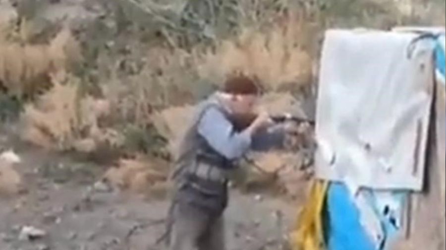 Yolun ortas�nda 2 k�pe�i vurdu