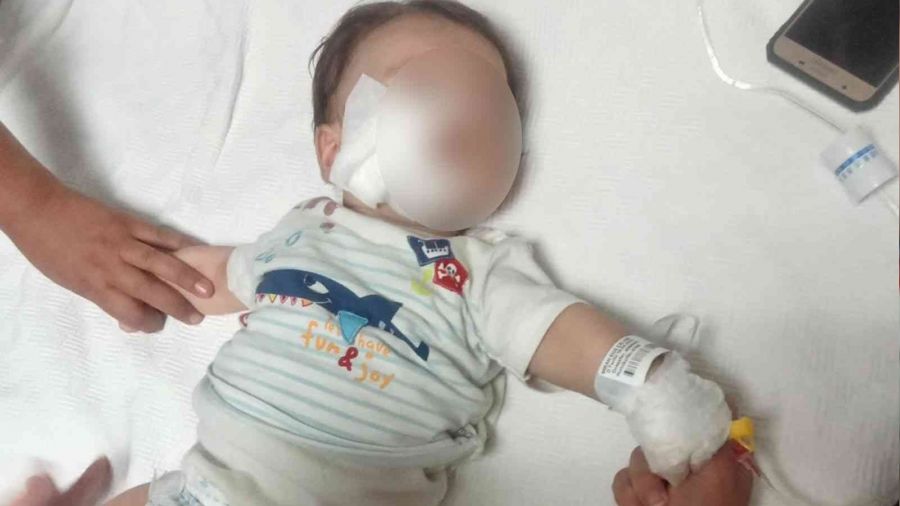 Yörük Şenliği'nde feci olay: Atın ısırdığı bebek ağır yaralandı