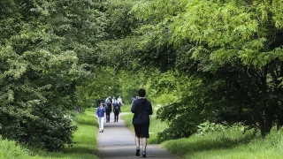 Yürüyün ve kendinizi iyi hissedin, bu kadar basit!