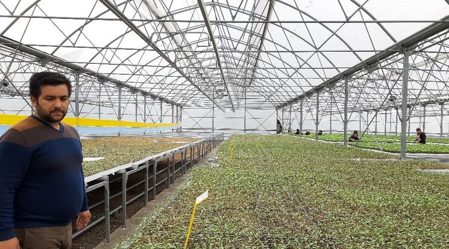 Zonguldak'ta modern fide �retim tesisi a��ld�