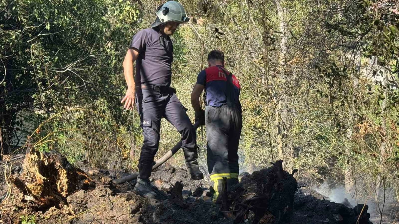 Zonguldak'ta ormanl�k alanda ��kan yang�n s�nd�r�ld�