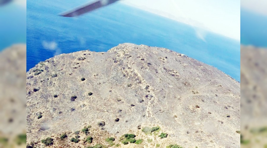 20 hektar alan siyaha d�nd�  