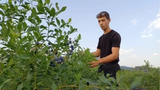 22 yanda kendi bahesini kurdu...