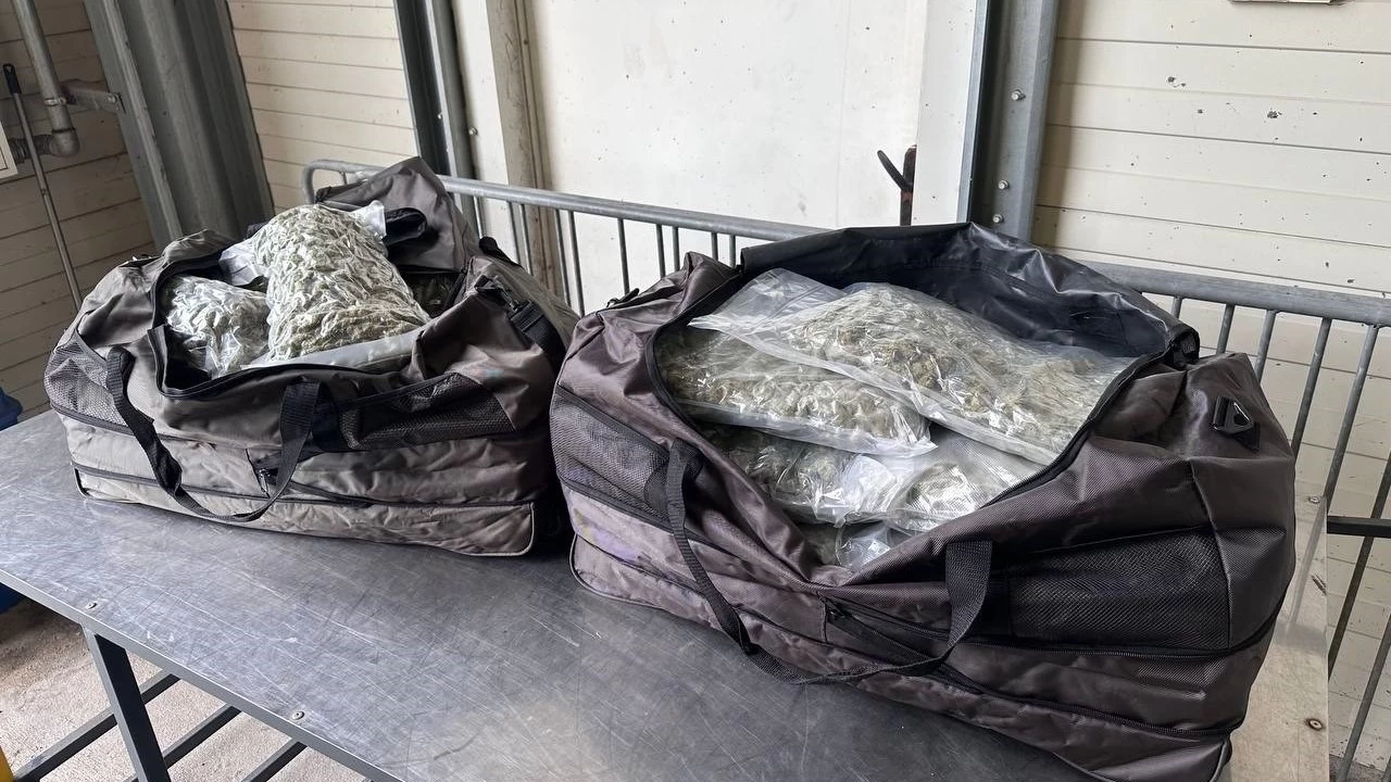 23 kilo 800 gram esrar Trkiye'ye sokacaklard