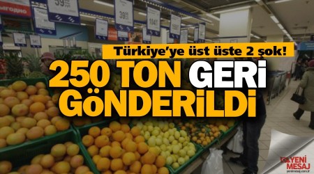 250 ton Rusya'dan geri çevrildi