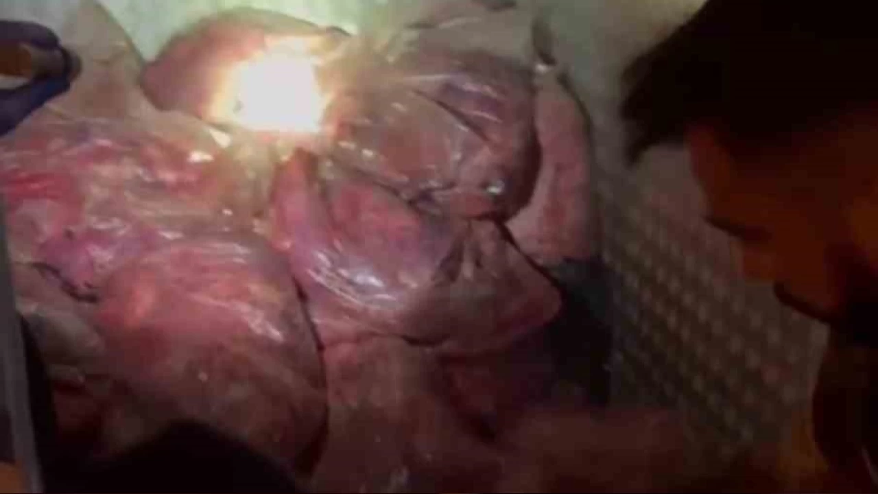 44 kilo esrarı sakatat parçalarının arasına zulalamış