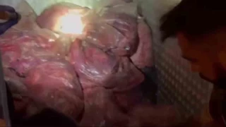44 kilo esrarı sakatat parçalarının arasına zulalamış