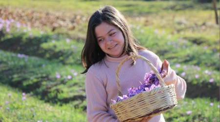 7. Safran Festivali 13-15 Ekim'de yapılacak