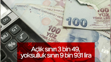 Alk snr 3 bin 49, yoksulluk snr 9 bin 931 lira 