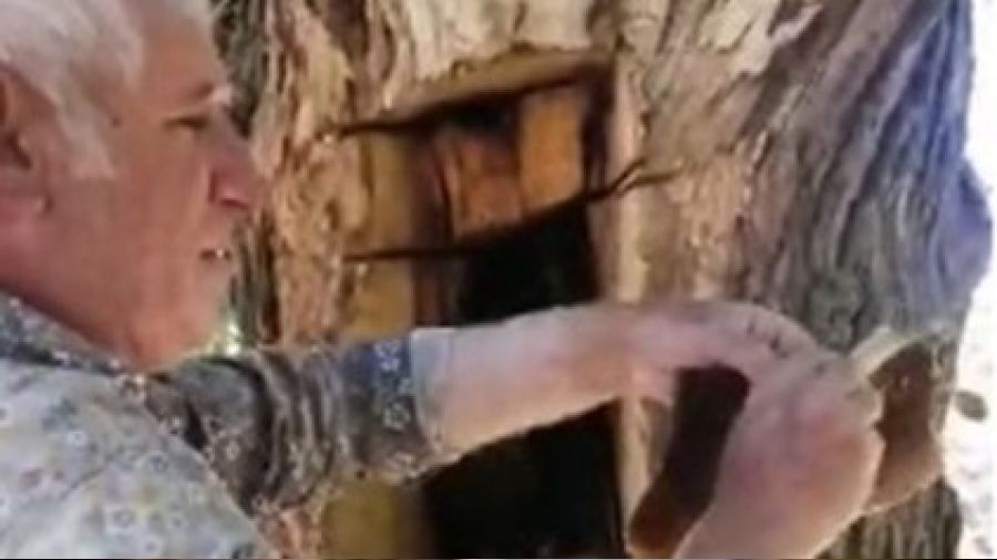 A�a� g�vdesinden kova kova bal ��kt�