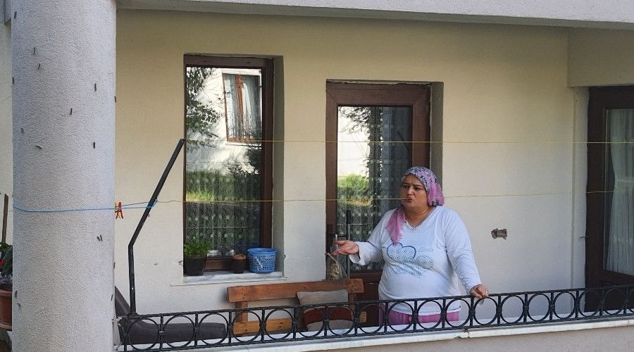 A�a�lar� kurutan kelebek �imdi de binalar� tehdit ediyor