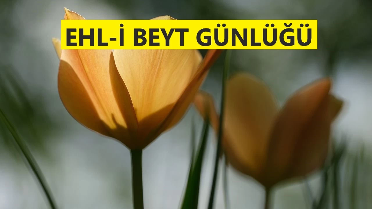 Akıl, ayıpları örten bir perdedir