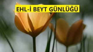 Akıl, ayıpları örten bir perdedir