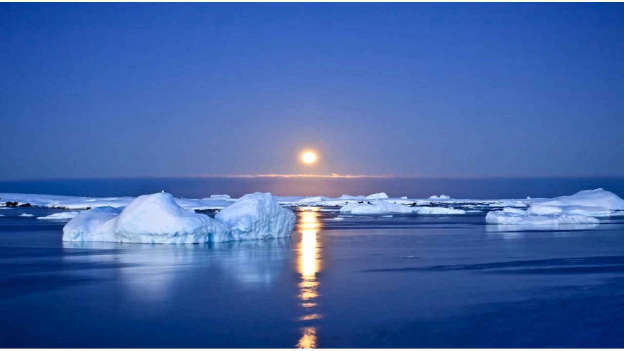 Aklın ve cehaletin askerleri